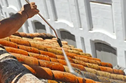 Démoussage de toiture à Abbaretz